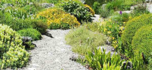Crushed limestone garden path